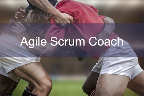 Agile Scrum Coach