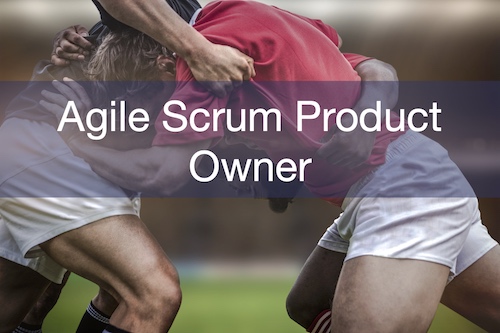 Agile Scrum Product Owner